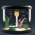 thumbnail image 3 of HLONK Floating Pool Water Temperature Gauge Thermometer Pineapple Floating Pool Thermometer, 3 of 6