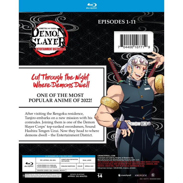 DVD Demon Slayer Kimetsu No Yaiba Mugen Train The Movie+Complete Season 2  ENGdub