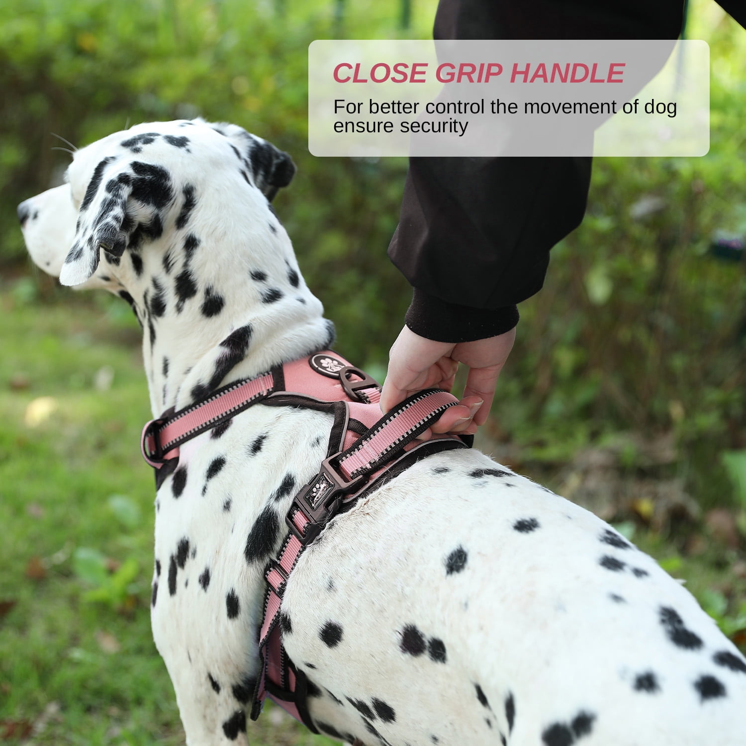 Hidpriva No Pull Dog Harness Leash Set , Soft Padded Dog Vest with Easy Control Handle, Reflective Adjustable Pet Harness for Large Dogs, Pink, XL