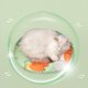 thumbnail image 4 of Estera de enfriamiento para mascotas, estera de enfriamiento para mascotas, almohadilla de enfriamiento redonda impermeable para gatos, almohadilla de hielo para mascotas pequeña adaptada para la perfección, 4 of 7