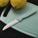 thumbnail image 4 of Azul - Tabla de cortar con cuchillo, con ranura para jugo, mini tabla de cortar, apta para lavavajillas, tabla de cortar pequeña hecha de plástico resistente, azul/rosa, 20 x 14 cm (2 piezas), 4 of 5