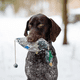thumbnail image 3 of Duck Dummy Bumper Mimics Dead Duck Bumper Toy for Training Puppies or Adult Hunting Dogs, 3 of 5