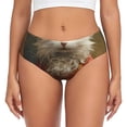 thumbnail image 1 of Fotbe Haystack Meditating Cat Calzones Estampados para Mujer – Ropa Interior de Algodón, Cómoda, Suave y Elástica-XX-Large, 1 of 6