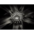 thumbnail image 2 of Sannwald, Joerg 32x25 White Modern Wood Framed Museum Art Print Titled - Barbed, 2 of 4