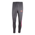thumbnail image 1 of Pantalón NFL Talla G San Francisco 49ers Gris, 1 of 3