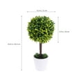 thumbnail image 2 of OHOIOLLA Topiary Grass Bonsai Verde Con Hojas Realistas Para En Casa Y Eventos, 2 of 8