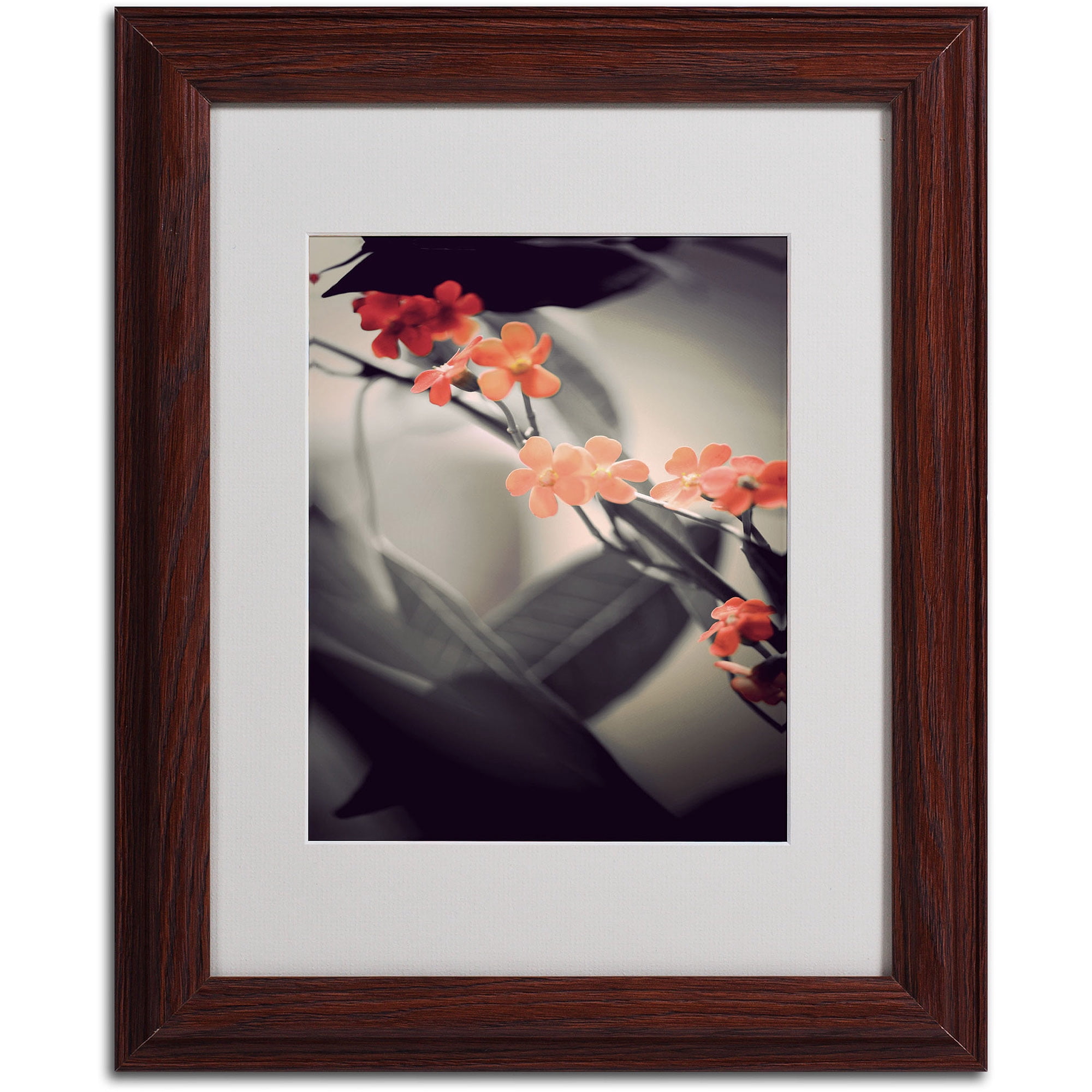 Trademark Fine Art "Soft Grey 1" Canvas Art by Philippe Sainte-Laudy, Wood Frame
