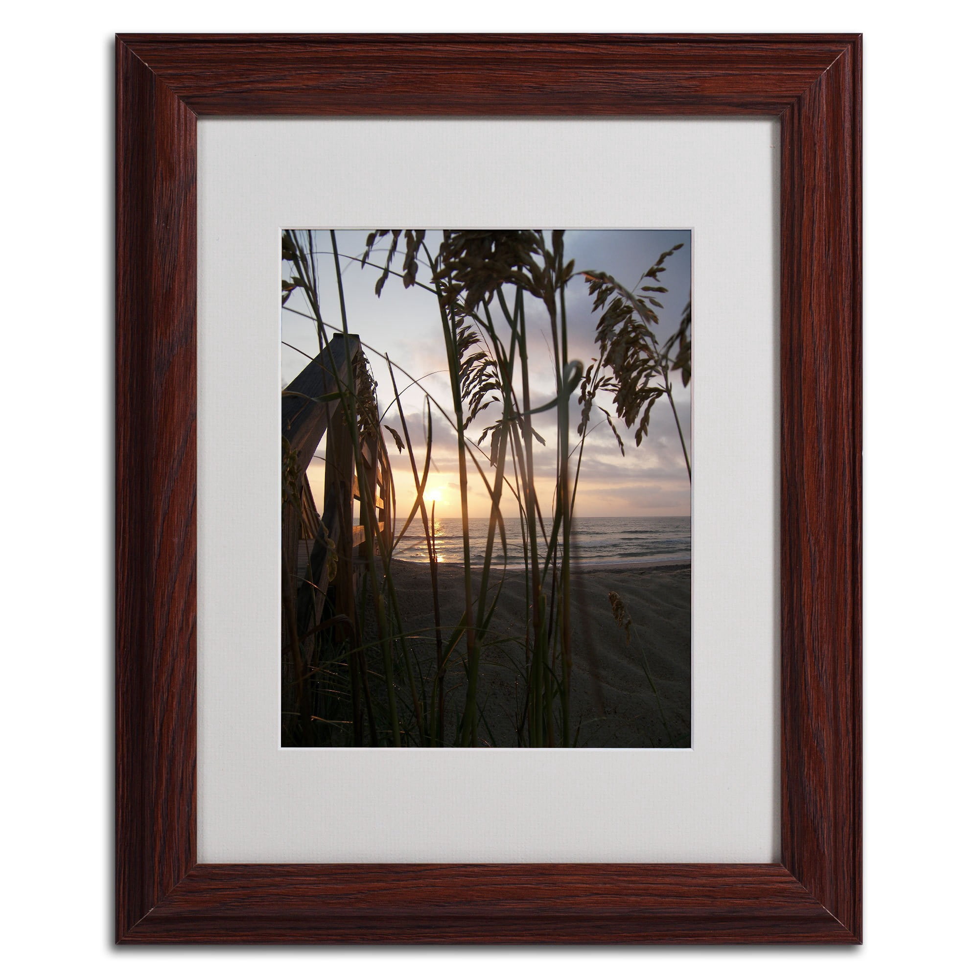 Trademark Fine Art "Hidden Life" Canvas Art by Monica Fleet, Black Frame