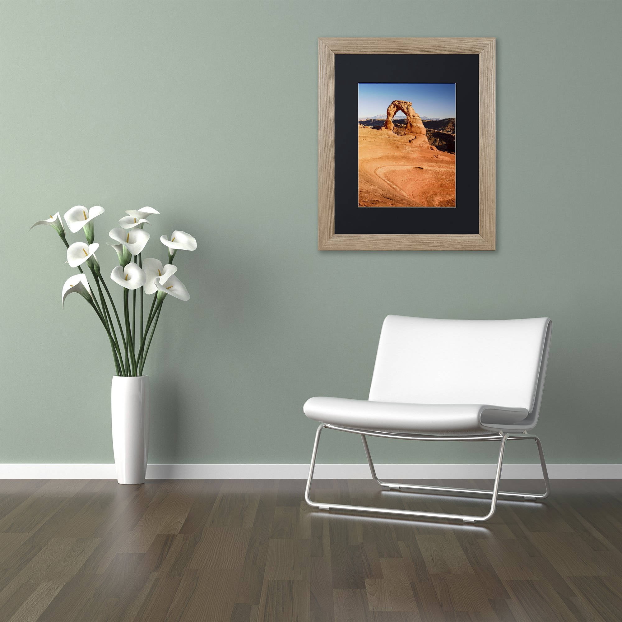 Trademark Fine Art "Delicate Arch" Canvas Art by Michael Blanchette Photography Black Matte, Birch Frame