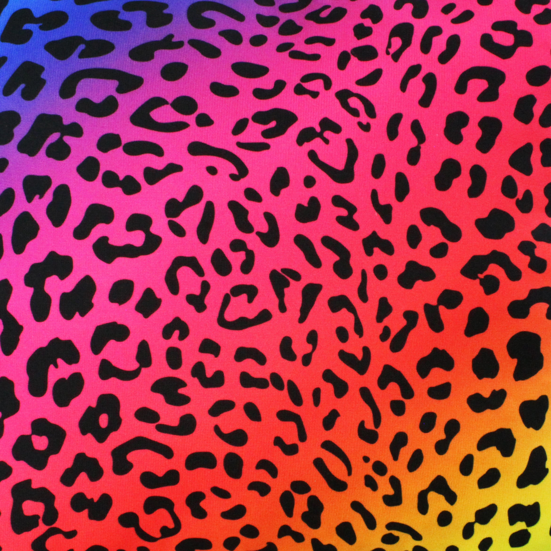 Everything Comfy Leopard Print Decorative Throw Pillow, 16x16 Inch, Rainbow Gradient/Black,