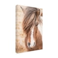 thumbnail image 2 of Trademark Fine Art 'Elska II' Canvas Art by Laura Marshall, 2 of 3