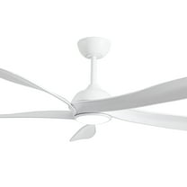 Fergus 56 in. 1-Light Indoor White Finish Ceiling Fan with Light Kit