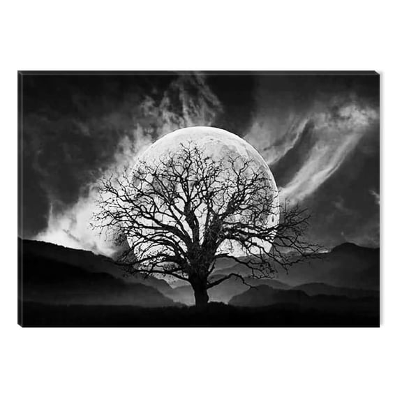 Startonight Canvas Wall Art Black and White Abstract Big Moon and Old Tree, Dual View Surprise Artwork Modern Framed Ready to Hang Wall Art 100% Original Art Painting 23.62 X 35.43 inch