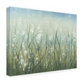thumbnail image 3 of Trademark Fine Art Tim OToole Bliss Grass Canvas Wall Art - 18x24, 3 of 5