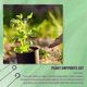 thumbnail image 4 of 60pcs Plant Supports Set - 20 Pack Flower Plant Stakes Sticks (3 Sizes), 20 Plant Support Clips And-yyc, 4 of 5
