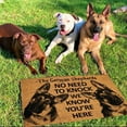 thumbnail image 4 of EIMELI WTN Funny Dog Doormat Dog Welcome Doormat Welcome Rug, 4 of 6