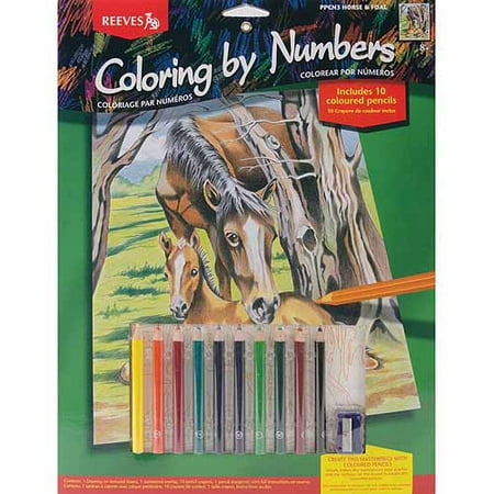 color by number kit 9x12 horse foal walmart com