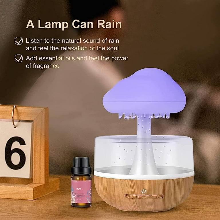 CLOUDRAIN Humidifier Rain Cloud Night Light Aromatherapy Essential