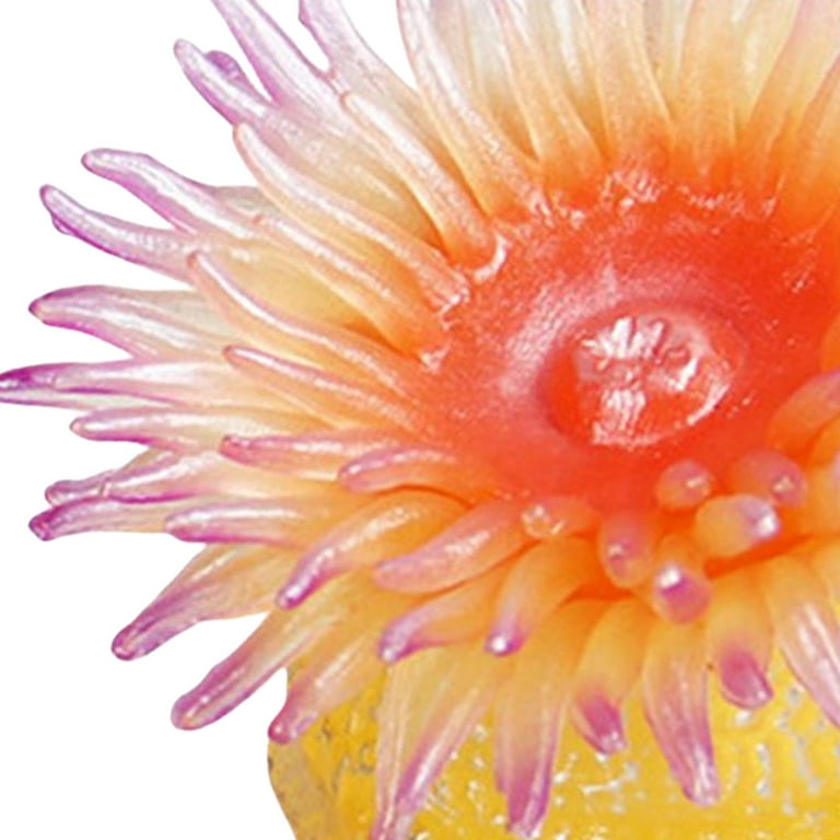 Sea Creatures Sea Anemone Learning Toys Aquarium Landscape