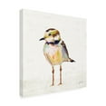 thumbnail image 2 of Jeanette Vertentes 'Coastal Plover II Linen' Canvas Art, 2 of 4