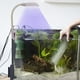 thumbnail image 5 of Luz LED para acuario, con clip, portátil, USB, para agua dulce, moderna Blanco, 5 of 9