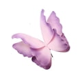 thumbnail image 2 of Decodeary Artificial Butterfly 3D 60cm for Wedding Decorations DIY Shop Window Display Blue Violet 60cm, 2 of 4