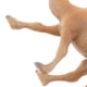 thumbnail image 5 of Conjunto de Animales Juguetes Figuras de Animales Sunnimix, Figuras de animales realistas, 5 of 8