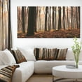 thumbnail image 1 of Dark Thick Woods in Fall Forest - Modern Forest Canvas Art, 1 of 3