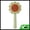 Green, variant on Unique Bargains Flower Shape Pet Brush Cleaning Brush Yellow Blue 7.09 in