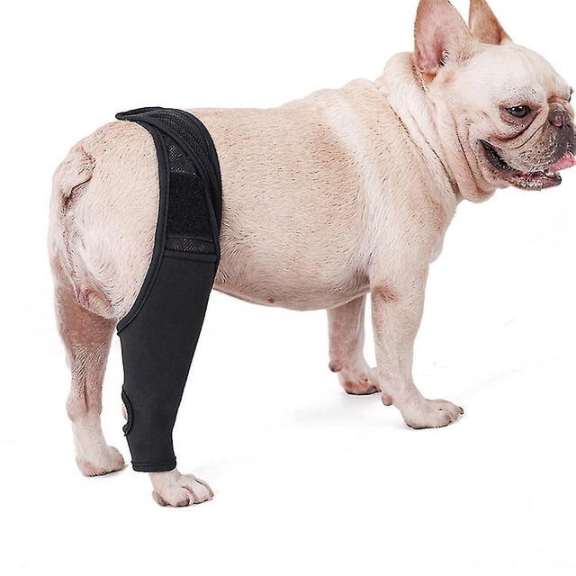 Rodillera para perro mascota, rodillera, dislocación, artritis, mantiene la articulación caliente, soporte adicional