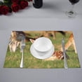 thumbnail image 2 of MKHERT Young Fawn Little Deer Countryside Rural Theme Placemats Table Mats for Dining Room Kitchen Table Decoration 12x18 inch,Set of 4, 2 of 4