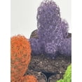 thumbnail image 5 of Colored Cactus / Desert Gem / Painted Dyed Blue / Red / Purple / Yellow / Pink / Green, Orange Cactus Rainbow Cactus, 5 of 9
