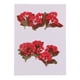 thumbnail image 2 of Flores secas prensadas Strade Fareast Limited 6x10 piezas, 2 of 5
