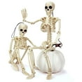 thumbnail image 1 of Xihbxyly Esqueletos Articulados de Halloween, Paquete de 2, Articulaciones Ajustables de 38 Cm, Detalles Realistas, Construcción de Plástico Resistente, Decoración Espeluznante para Interiores o Exte, 1 of 7