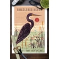 thumbnail image 3 of Chincoteague Island, Virginia, Shorebirds at Sunset Collection, Tricolored Heron, Bird (9x12 Wall Art Print, Home Decor), 3 of 3