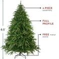 thumbnail image 5 of Northlight 6.5' Pre-Lit Roosevelt Fir Artificial Christmas Tree - Clear Lights, 5 of 7