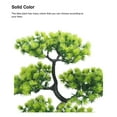 thumbnail image 3 of Planta Falsa Inteprter Decorativa Verde Oscuro HA083966-02, 3 of 6
