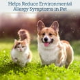 thumbnail image 2 of Rx Vitamins Colostrum for Dogs & Cats - Whole Bovine Colostrum for Cats Powder - Cat & Dog Supplement Ideal Dog Immune Support, Promotes Feline Digestive Health & Dog Allergy Support - 3.52 oz (100g), 2 of 9