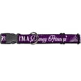 thumbnail image 1 of Buckle-Down I'm 99.9-Percent Sure I'm A Disney Princess Pinks White Disney Martingale Plastic Clip Collar, 1 of 1