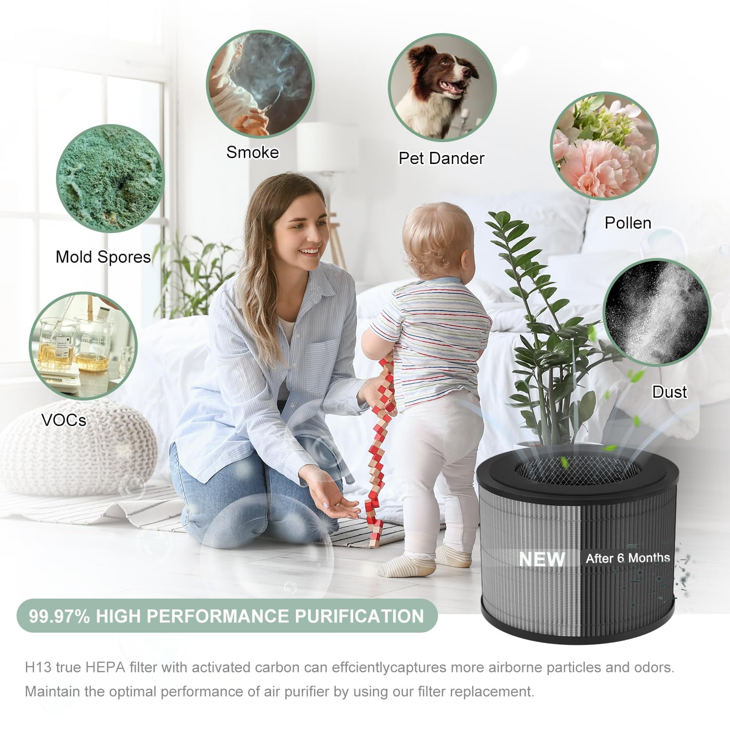 DR-HAP002 HEPA Replacement Filter 2-Pack | For Macro Pro / Pro S Air Purifiers | 3-Stage Filtration (Pre-filter + Activated Carbon) | High-Efficiency Air Filter