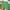 Green - 2026, variant on AXXD Shorts for Women,Ruffle Shorts,Comfy Drawstring Elastic Waist Pocket Loose Shorts Multicolor 14