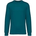 thumbnail image 1 of Native Spirit  Adult Crew Neck Sweatshirt, 1 of 2