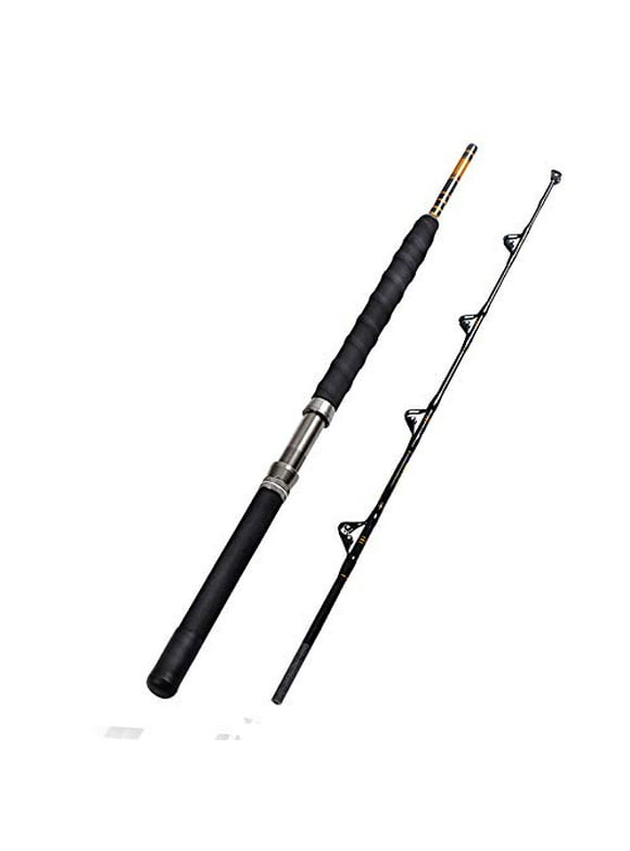 Saltwater Fishing Rods in Fishing Rods