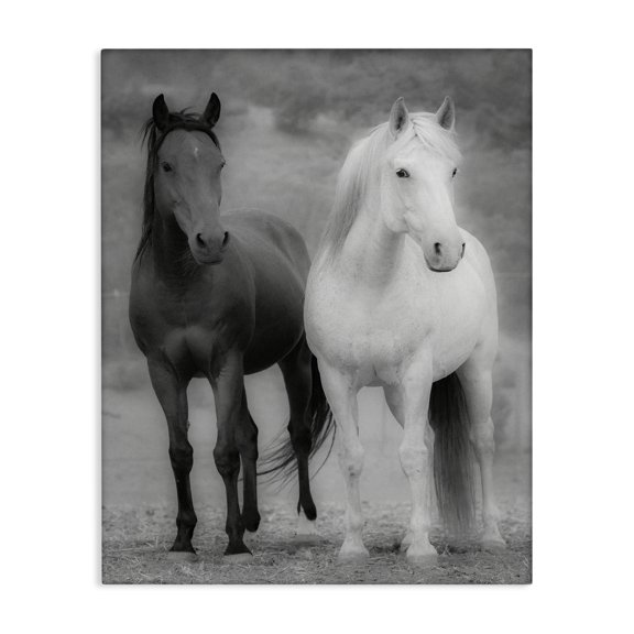 Stupell Industries Farmhouse White & Black Horses Canvas Art, 24 x 30, by JG Studios