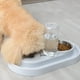 thumbnail image 5 of Cuenco alimentador para perros, cuenco alimentador con dispensador de agua para perros pequeños y gatos, muy versátil, 5 of 9