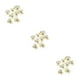thumbnail image 5 of Artesanías de flores secas Monstrate 12 Uds estilo Simple tipo 8, 5 of 6