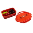 thumbnail image 3 of Spiderman Bento Lunch Box for Kids  Marvel Food Container with Utensils  BPA-Free Toddler Lunch Kit with 3 Compartments  Bento Snack Box with Spoon & Fork  Ages 4+, 3 of 4