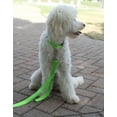 thumbnail image 3 of Country Brook Petz® 3/4 inch Deluxe Nylon Dog Leash, 6 Foot - Hot Lime Green, 3 of 6