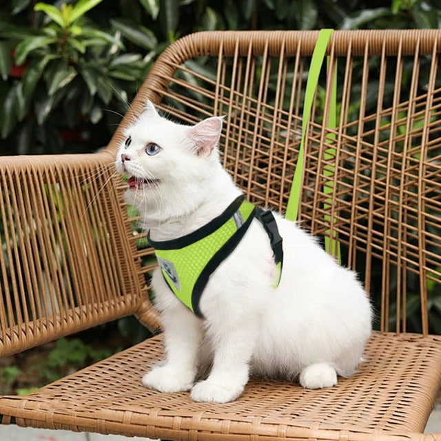 Sangle de Poitrine et Cordon de Serrage Réglables en Maille Douce Ensemble de Sangle de Poitrine et Cordon de Serrage Adapté aux Petits Chats et Chiots Taille Moyenne Gilet pour Chat