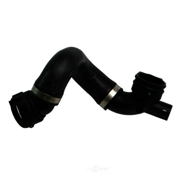 Rein Molded Radiator Hose